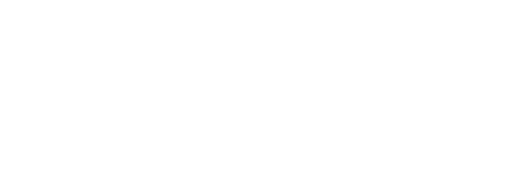 Niveals logo